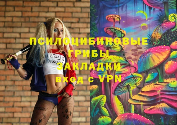 МДПВ Абдулино