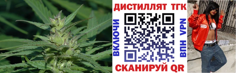 shop клад Элиста Дистиллят ТГК Wax где найти