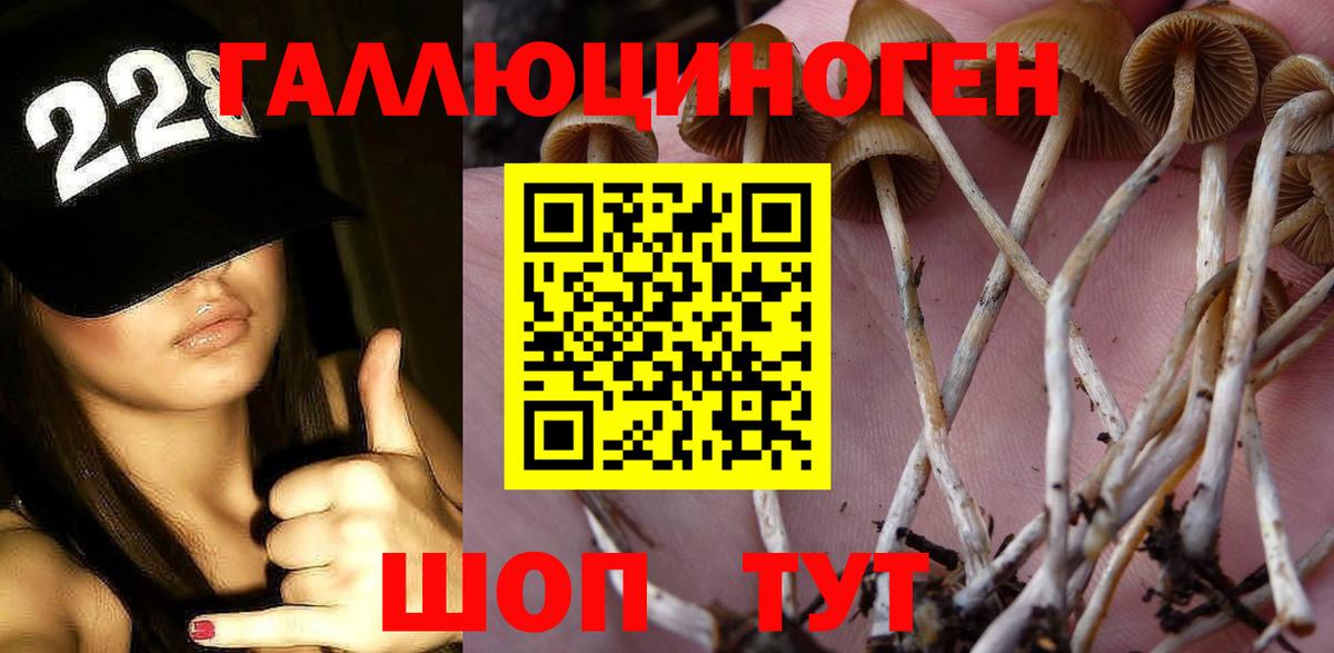 Псилоцибиновые грибы мицелий Элиста