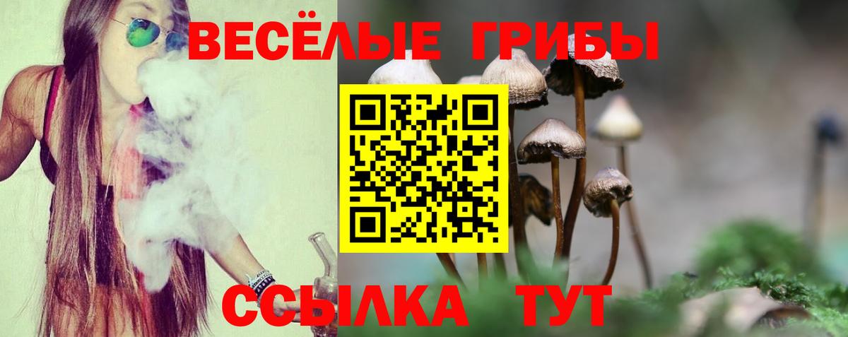 Галлюциногенные грибы мицелий  цены наркотик  Элиста  Вход с VPN 